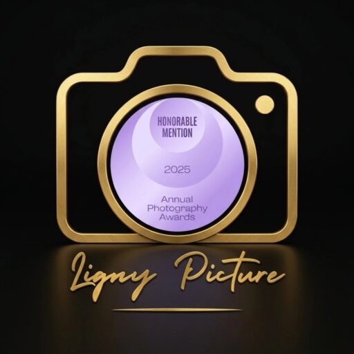 lignypicturephotographe.fr