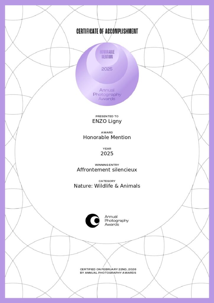 LignyPicture, Découvrez ma distinction en consultant la publication annuelle des Annual Photography Awards. Mention Honorable